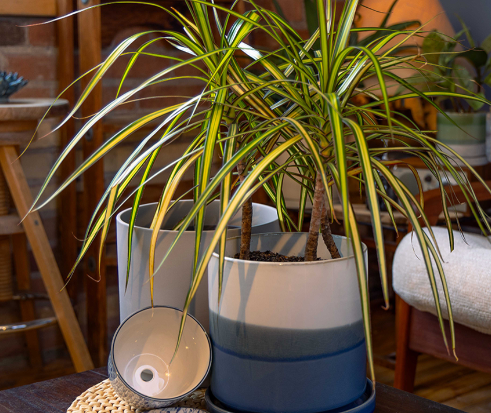 Pots with drainage by chive studio