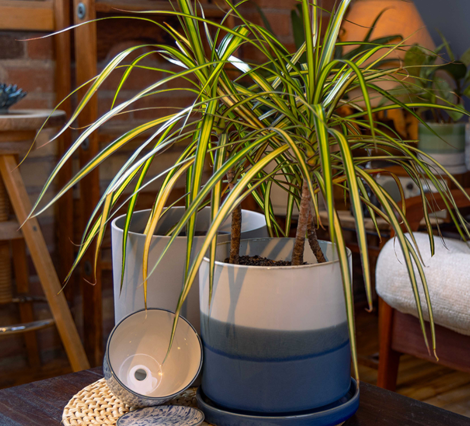 Pots with drainage by chive studio