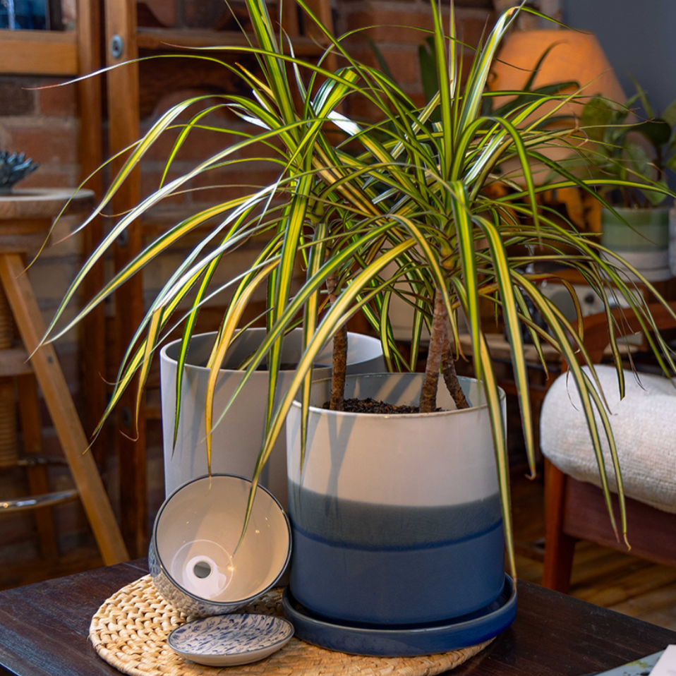 Pots with drainage by chive studio