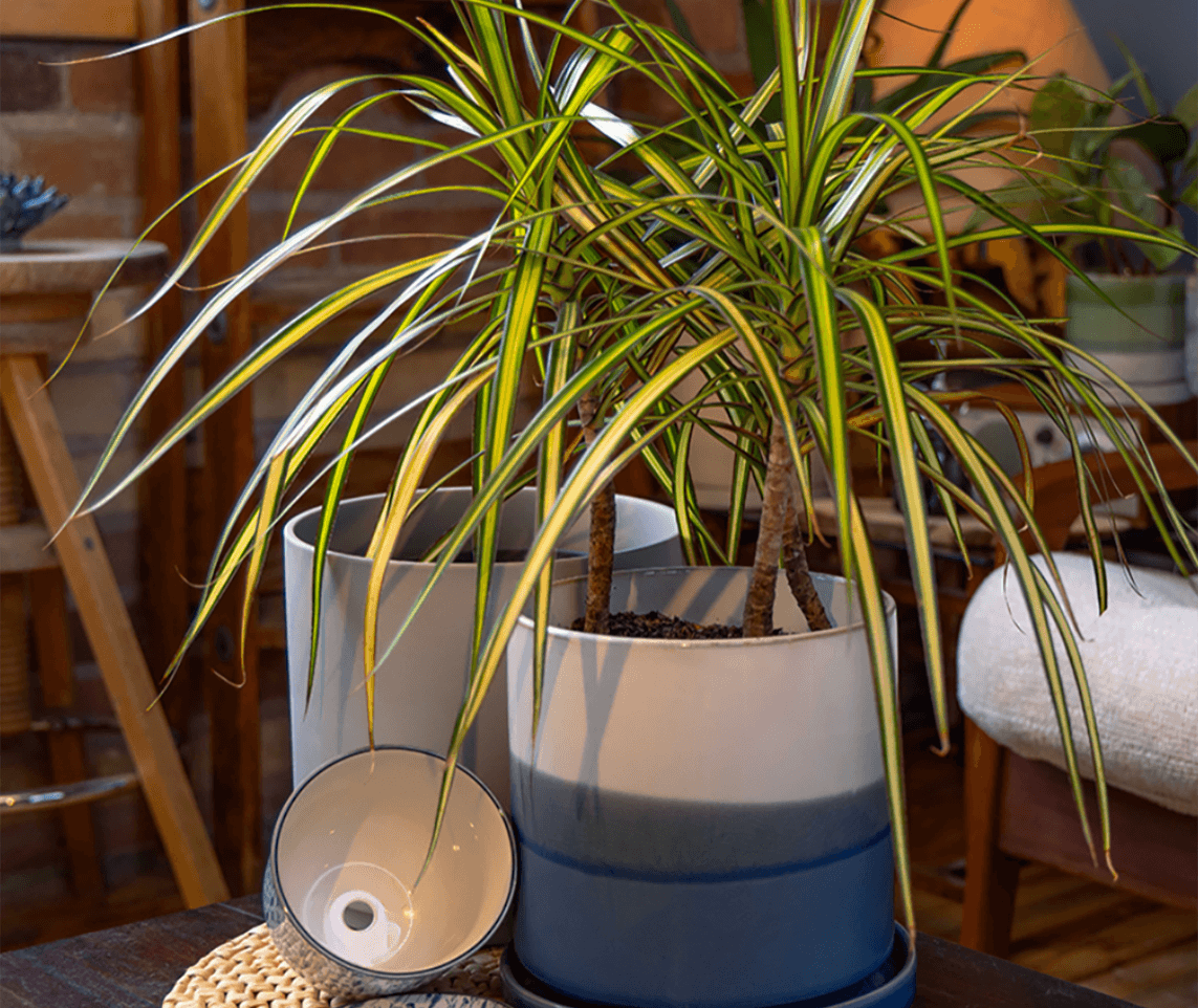 Pots with drainage by chive studio