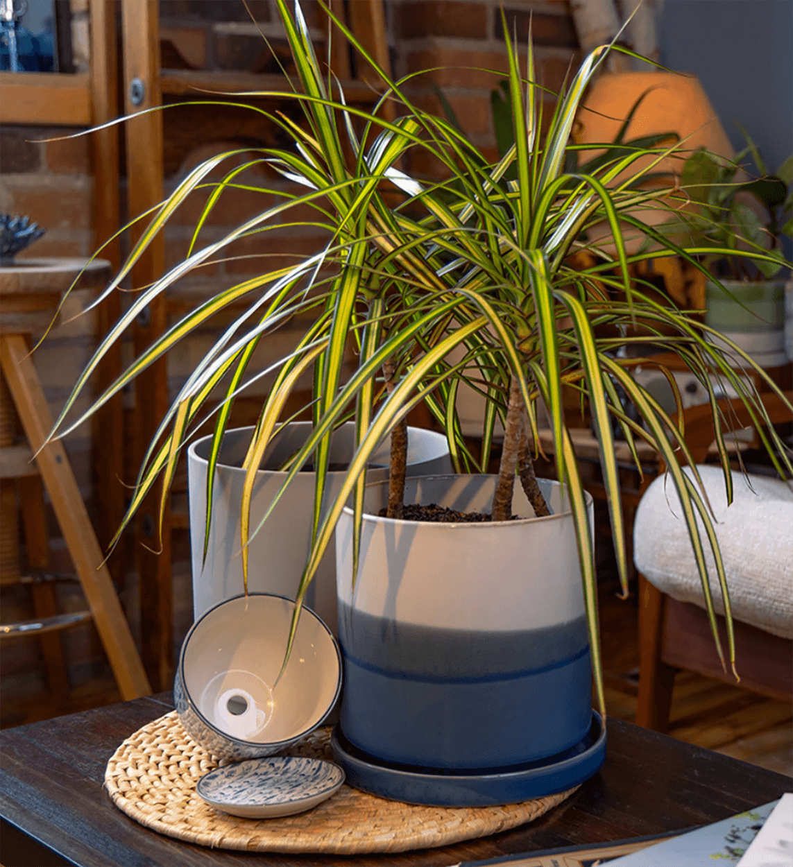 Pots with drainage by chive studio