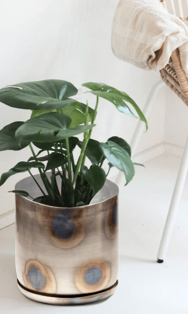 Joe Metal Pot With Drainage Hole | 7, 8, 10 & 12 inches - Chive Ceramics Studio - Pots - Chive Ceramics Studio