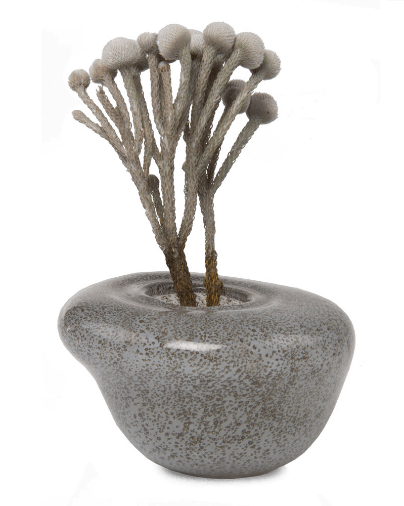 Nova Glass Flower Vase - Chive Ceramics Studio - Vases - Chive US