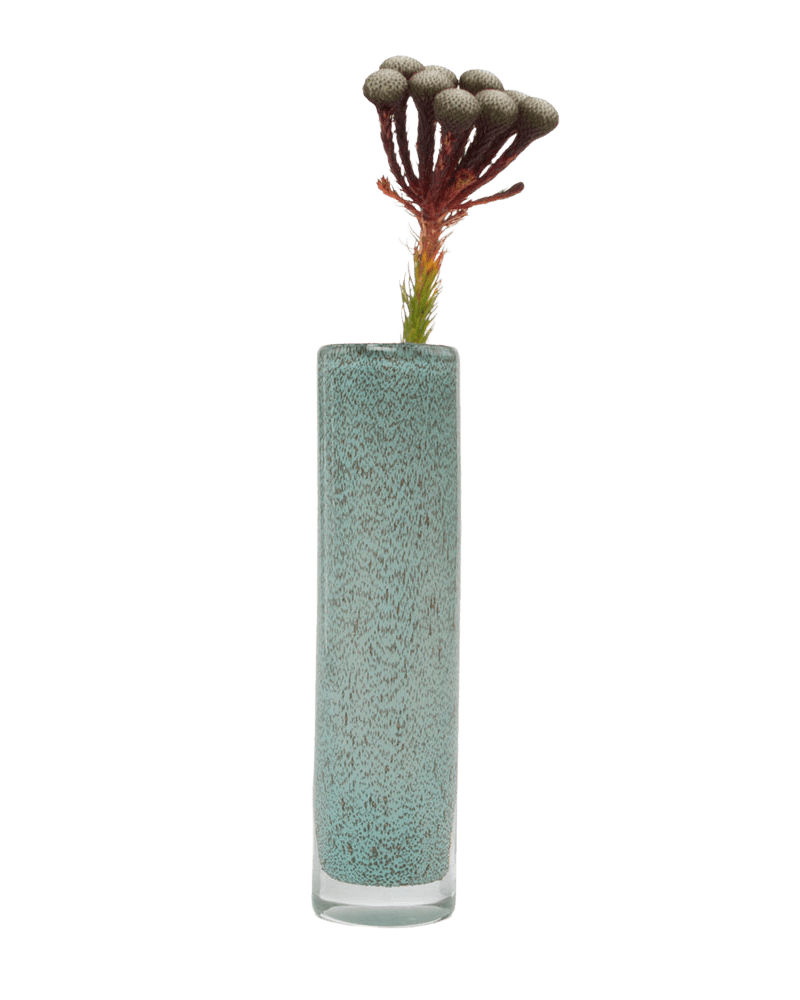 Nova Glass Flower Vase - Chive Ceramics Studio - Vases - Chive US