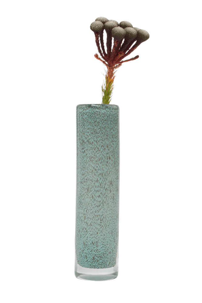 Nova Glass Flower Vase - Chive Ceramics Studio - Vases - Chive US