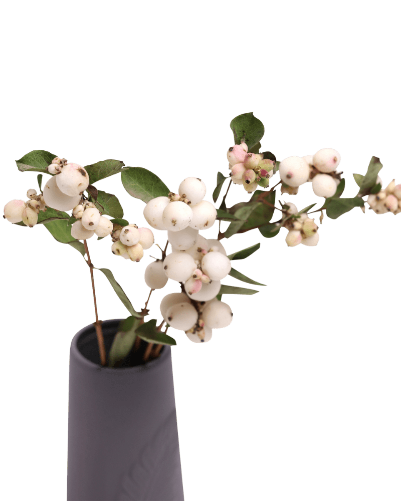 Olmstead Porcelain Bud Vase - Chive Ceramics Studio - Vases - Chive US