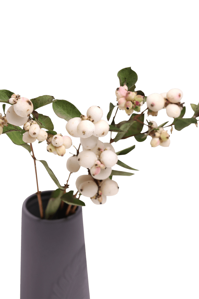 Olmstead Porcelain Bud Vase - Chive Ceramics Studio - Vases - Chive US