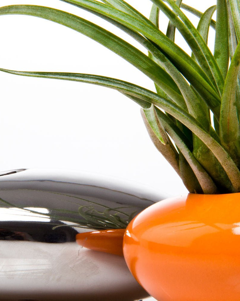 Pebble Ceramic Ikebana Kenzan Container - Chive Ceramics Studio - Pots - Chive US