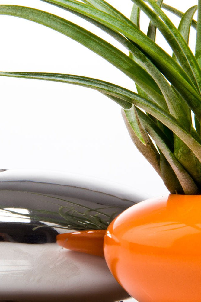 Pebble Ceramic Ikebana Kenzan Container - Chive Ceramics Studio - Pots - Chive US