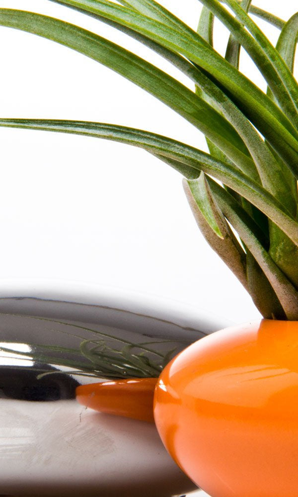 Pebble Ceramic Ikebana Kenzan Container - Chive Ceramics Studio - Pots - Chive US