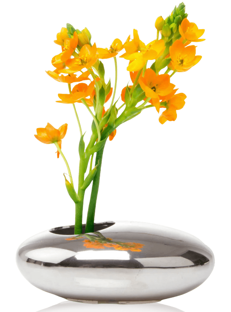 Pebble Ceramic Ikebana Kenzan Container - Chive Ceramics Studio - Pots - Chive US