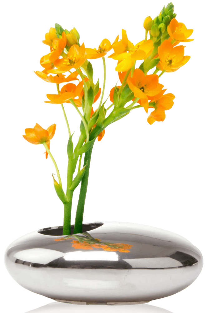 Pebble Ceramic Ikebana Kenzan Container - Chive Ceramics Studio - Pots - Chive US