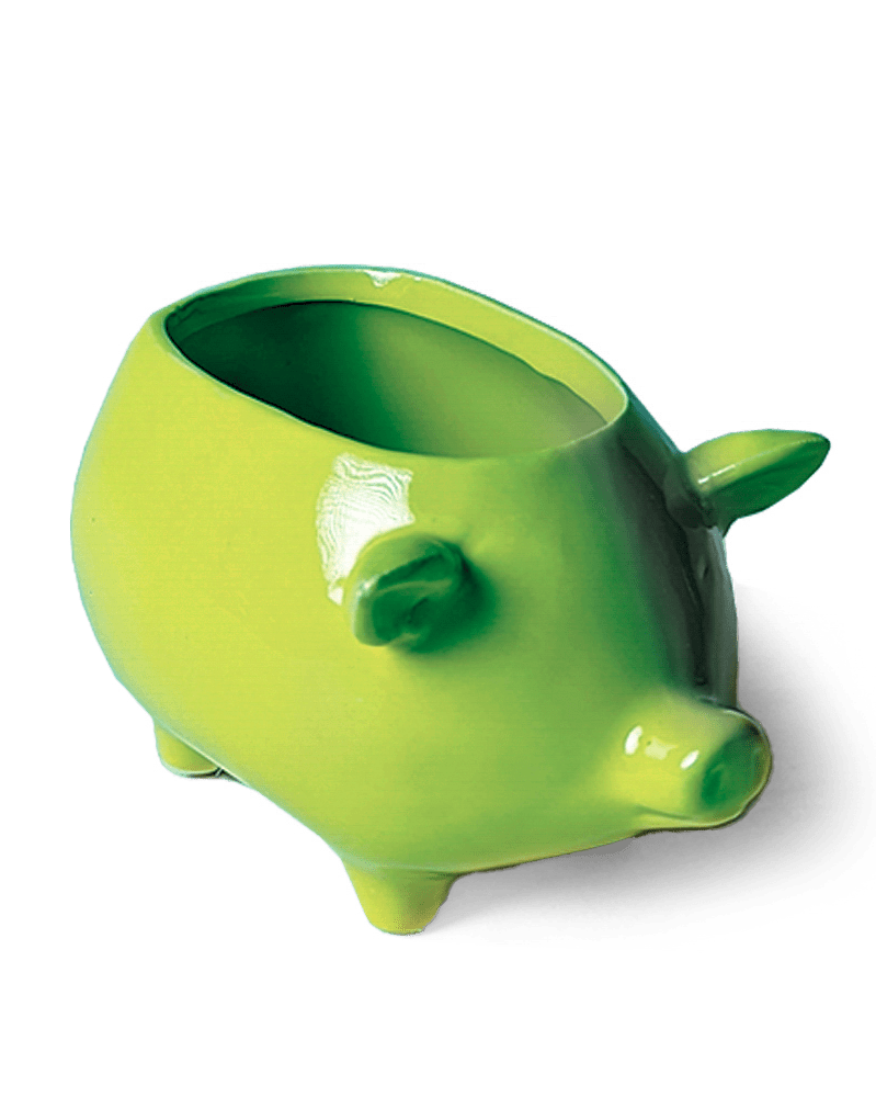 Pig Ceramic Indoor Plant Pot For Succulents - Chive Ceramics Studio - Pots - Chive Ceramics Studio