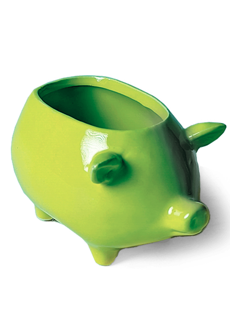 Pig Ceramic Indoor Plant Pot For Succulents - Chive Ceramics Studio - Pots - Chive Ceramics Studio