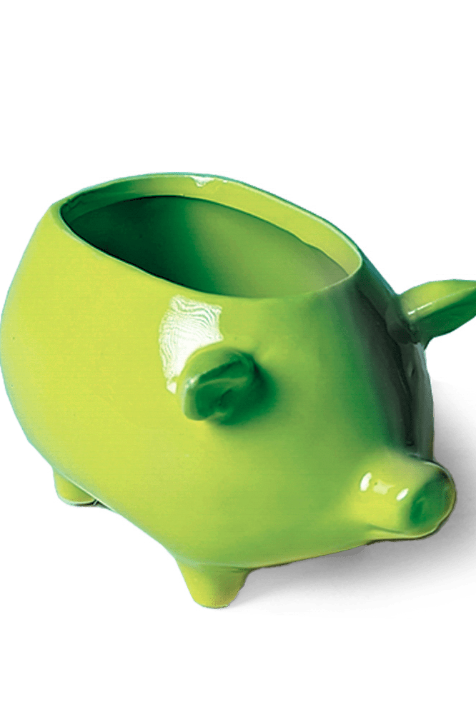 Pig Ceramic Indoor Plant Pot For Succulents - Chive Ceramics Studio - Pots - Chive Ceramics Studio