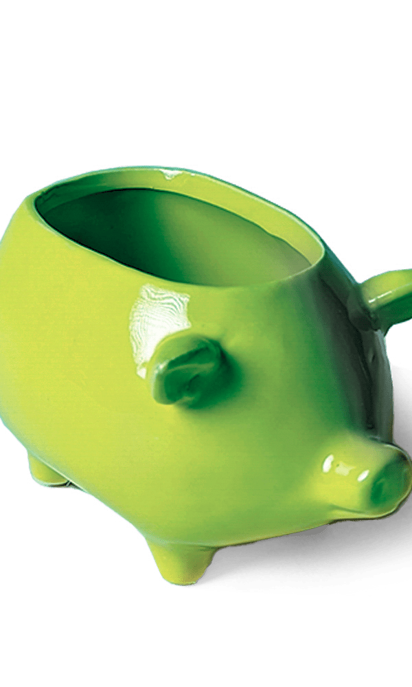 Pig Ceramic Indoor Plant Pot For Succulents - Chive Ceramics Studio - Pots - Chive Ceramics Studio