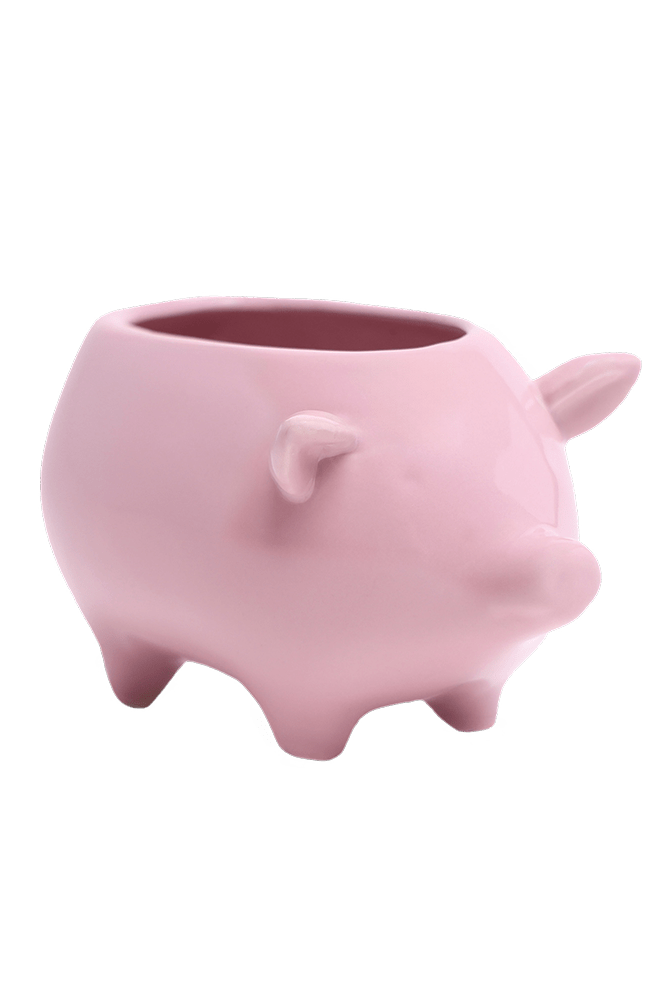 Pig Ceramic Indoor Plant Pot For Succulents - Chive Ceramics Studio - Pots - Chive Ceramics Studio
