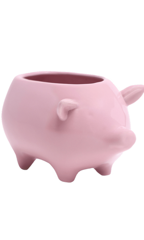 Pig Ceramic Indoor Plant Pot For Succulents - Chive Ceramics Studio - Pots - Chive Ceramics Studio