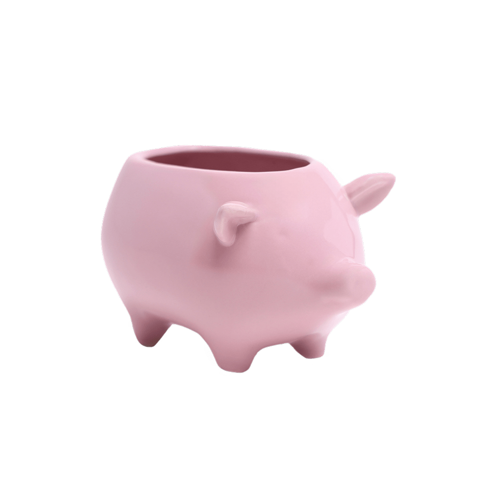 Pig Ceramic Indoor Plant Pot For Succulents - Chive Ceramics Studio - Pots - Chive Ceramics Studio
