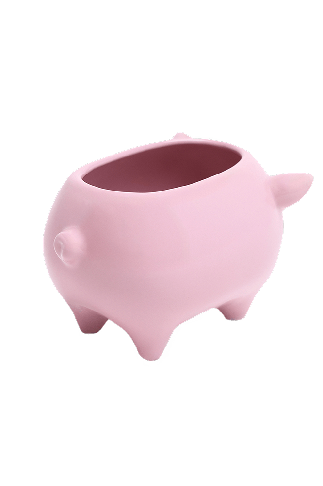 Pig Ceramic Indoor Plant Pot For Succulents - Chive Ceramics Studio - Pots - Chive Ceramics Studio