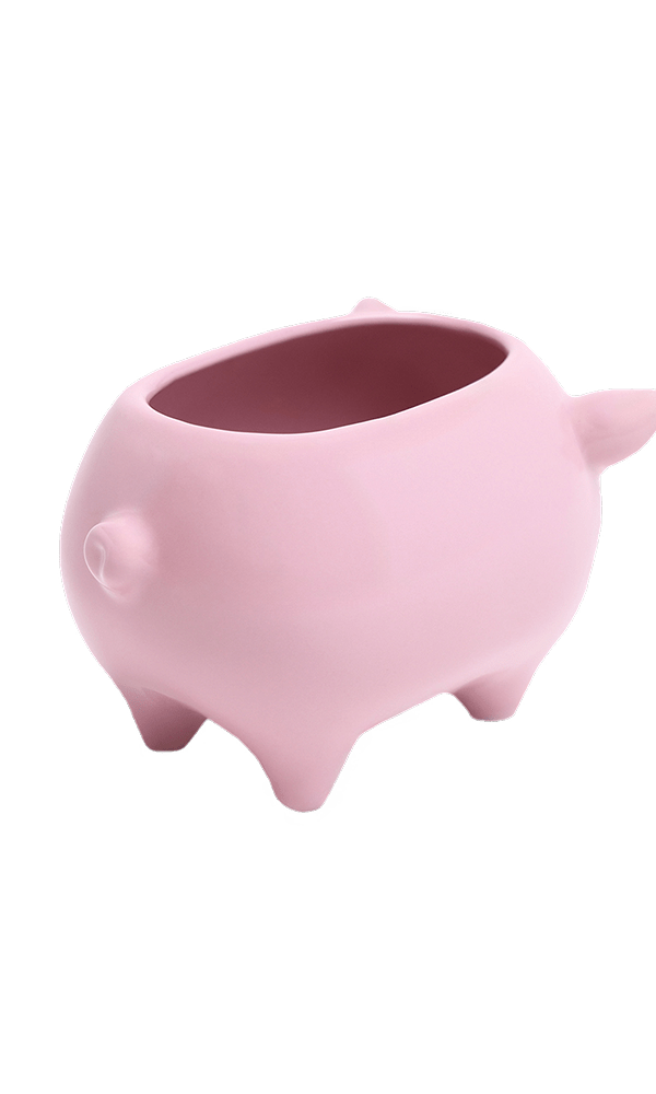 Pig Ceramic Indoor Plant Pot For Succulents - Chive Ceramics Studio - Pots - Chive Ceramics Studio