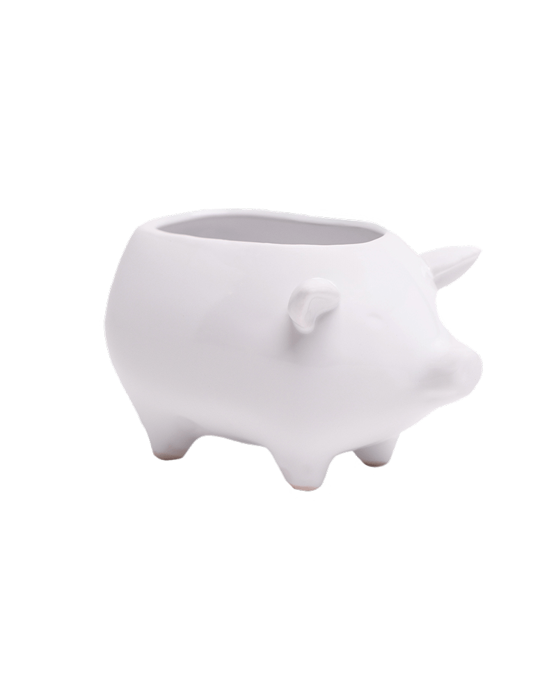 Pig Ceramic Indoor Plant Pot For Succulents - Chive Ceramics Studio - Pots - Chive Ceramics Studio