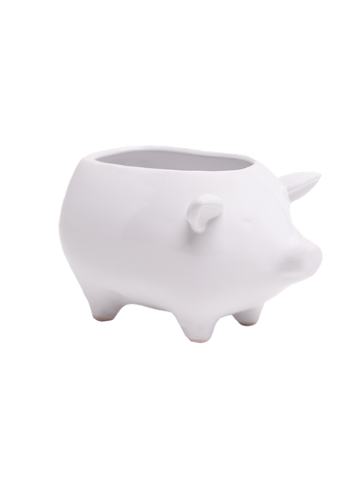 Pig Ceramic Indoor Plant Pot For Succulents - Chive Ceramics Studio - Pots - Chive Ceramics Studio