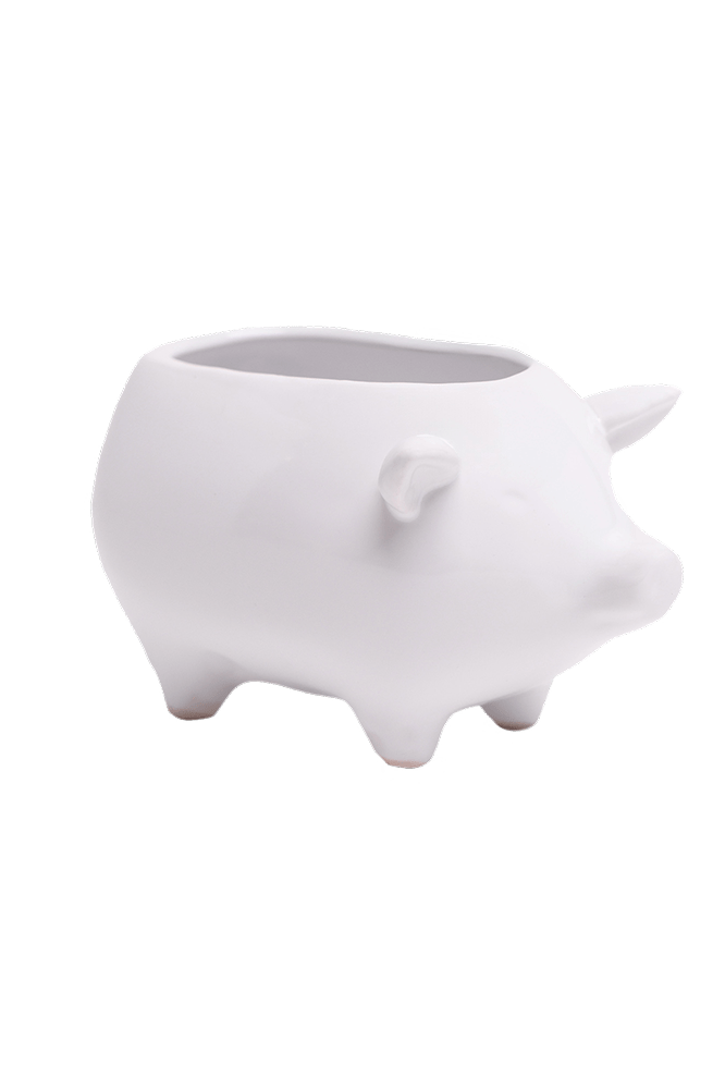 Pig Ceramic Indoor Plant Pot For Succulents - Chive Ceramics Studio - Pots - Chive Ceramics Studio