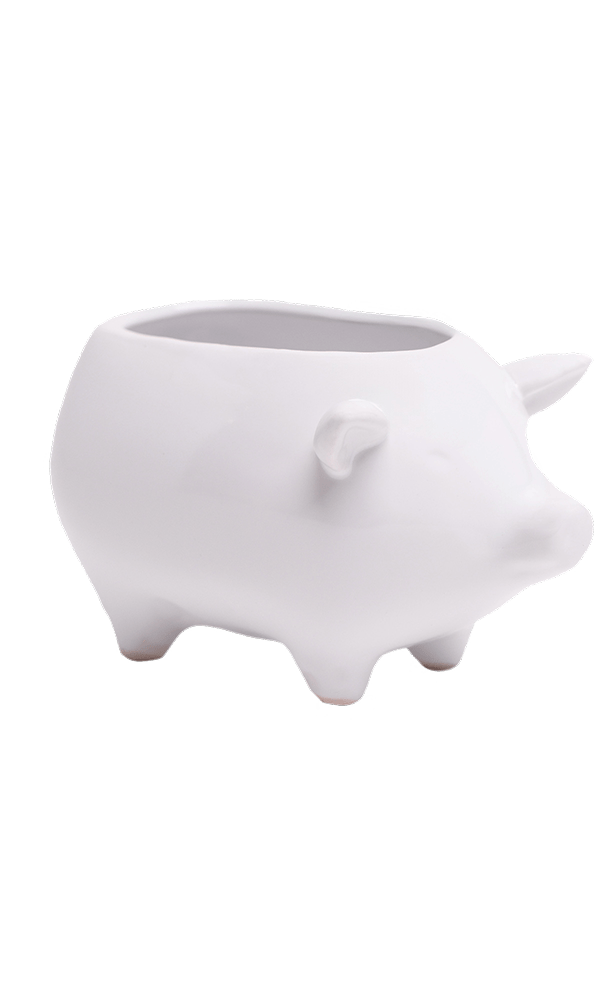 Pig Ceramic Indoor Plant Pot For Succulents - Chive Ceramics Studio - Pots - Chive Ceramics Studio