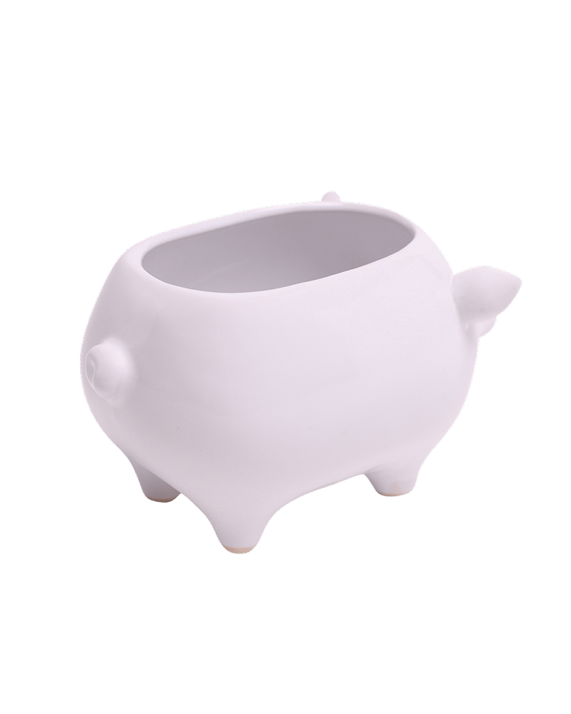 Pig Ceramic Indoor Plant Pot For Succulents - Chive Ceramics Studio - Pots - Chive Ceramics Studio