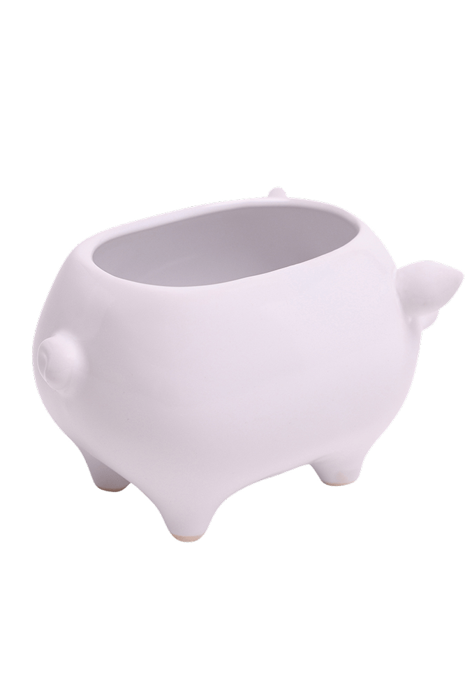 Pig Ceramic Indoor Plant Pot For Succulents - Chive Ceramics Studio - Pots - Chive Ceramics Studio