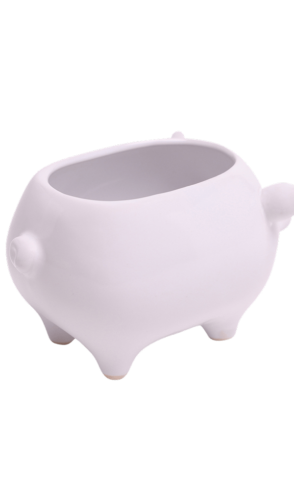 Pig Ceramic Indoor Plant Pot For Succulents - Chive Ceramics Studio - Pots - Chive Ceramics Studio