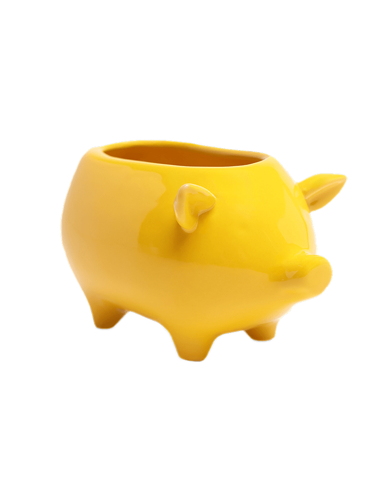 Pig Ceramic Indoor Plant Pot For Succulents - Chive Ceramics Studio - Pots - Chive Ceramics Studio