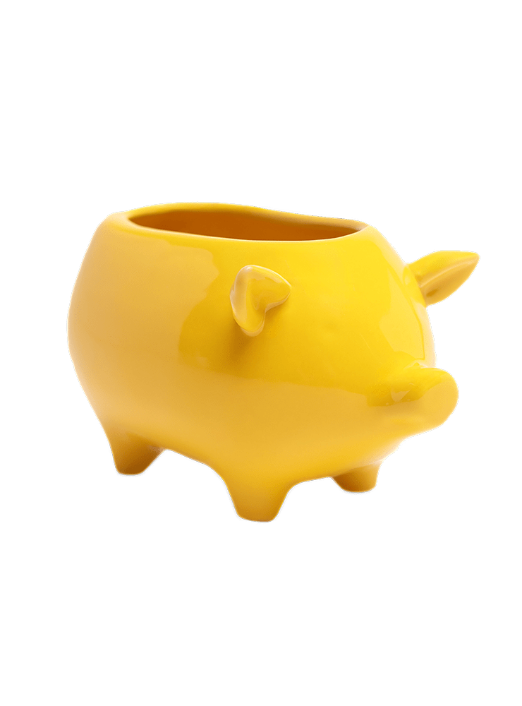 Pig Ceramic Indoor Plant Pot For Succulents - Chive Ceramics Studio - Pots - Chive Ceramics Studio