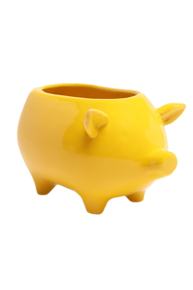 Pig Ceramic Indoor Plant Pot For Succulents - Chive Ceramics Studio - Pots - Chive Ceramics Studio