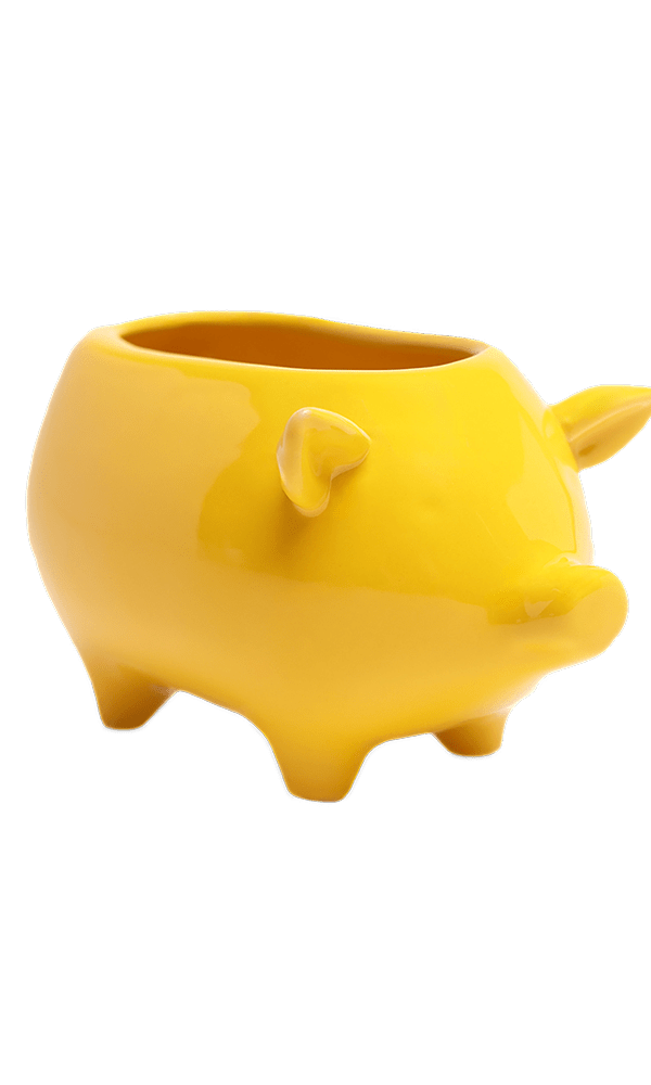 Pig Ceramic Indoor Plant Pot For Succulents - Chive Ceramics Studio - Pots - Chive Ceramics Studio