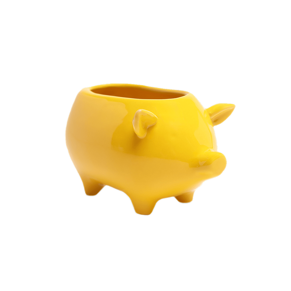 Pig Ceramic Indoor Plant Pot For Succulents - Chive Ceramics Studio - Pots - Chive Ceramics Studio