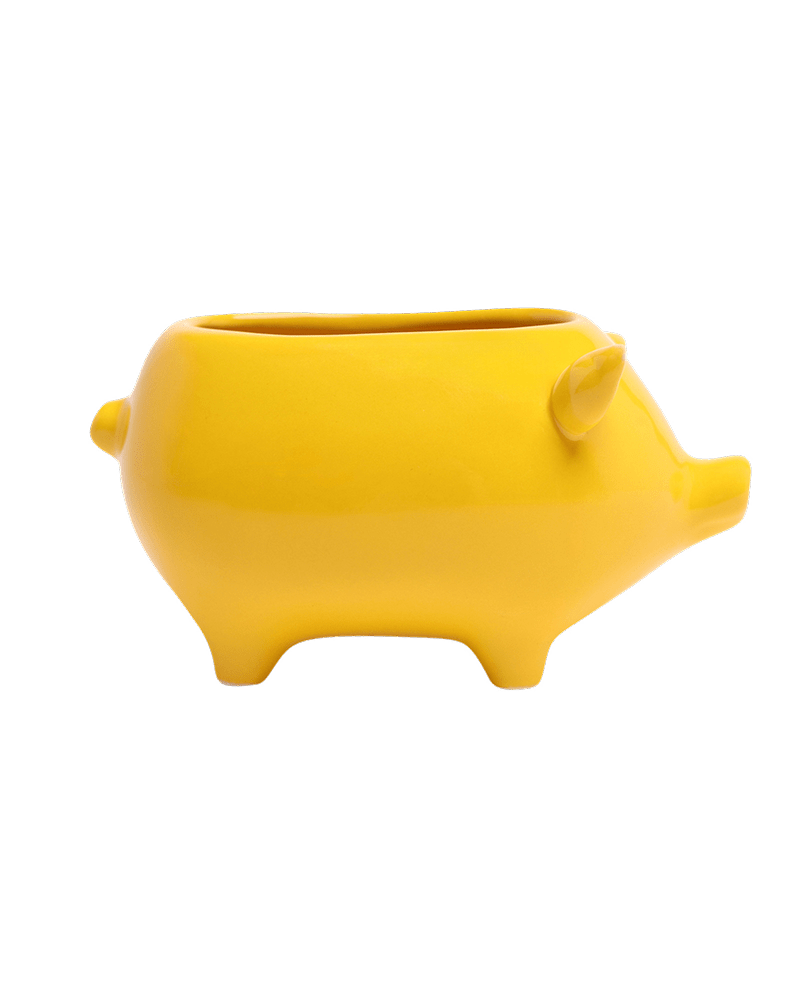 Pig Ceramic Indoor Plant Pot For Succulents - Chive Ceramics Studio - Pots - Chive Ceramics Studio