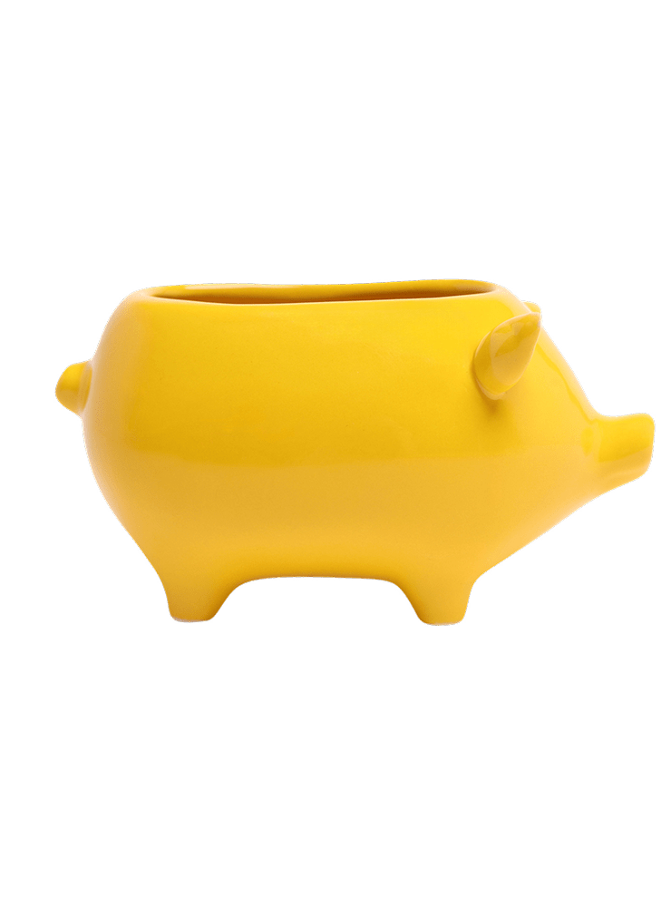 Pig Ceramic Indoor Plant Pot For Succulents - Chive Ceramics Studio - Pots - Chive Ceramics Studio