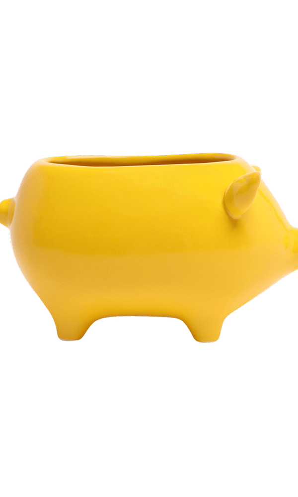 Pig Ceramic Indoor Plant Pot For Succulents - Chive Ceramics Studio - Pots - Chive Ceramics Studio