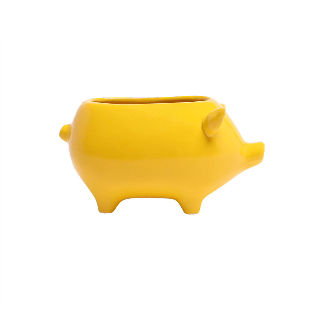 Pig Ceramic Indoor Plant Pot For Succulents - Chive Ceramics Studio - Pots - Chive Ceramics Studio