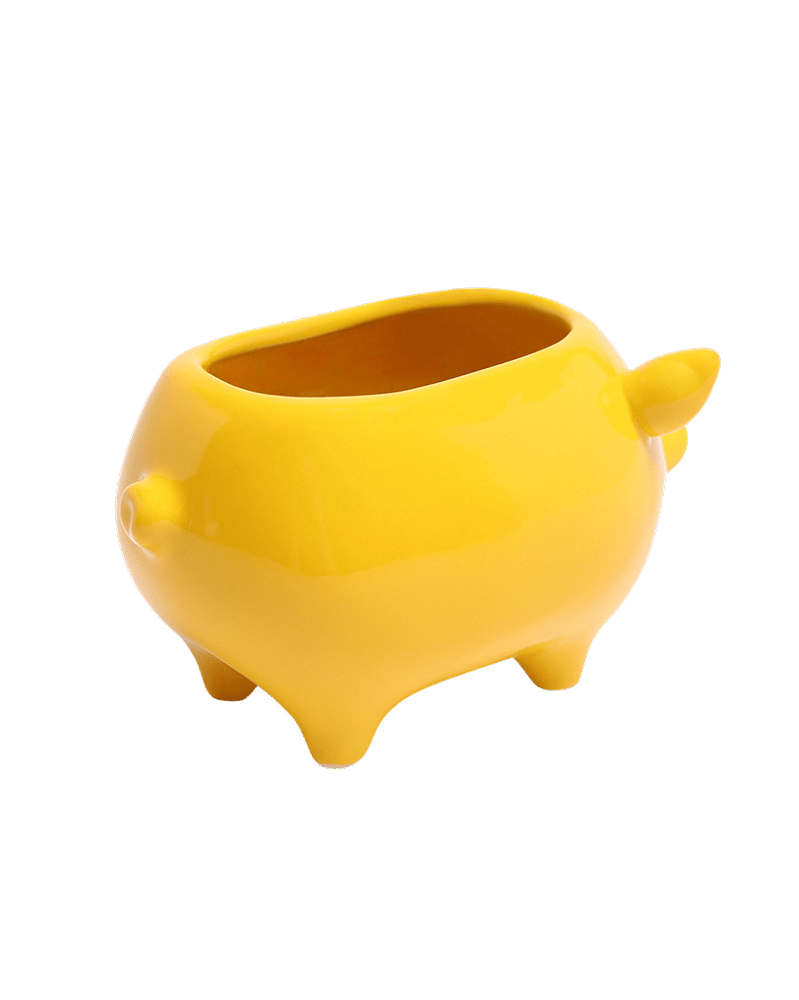 Pig Ceramic Indoor Plant Pot For Succulents - Chive Ceramics Studio - Pots - Chive Ceramics Studio