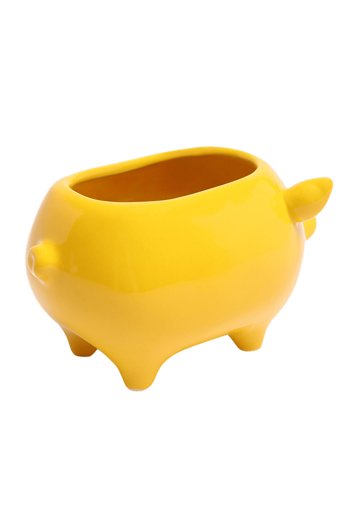 Pig Ceramic Indoor Plant Pot For Succulents - Chive Ceramics Studio - Pots - Chive Ceramics Studio