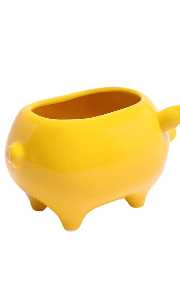 Pig Ceramic Indoor Plant Pot For Succulents - Chive Ceramics Studio - Pots - Chive Ceramics Studio