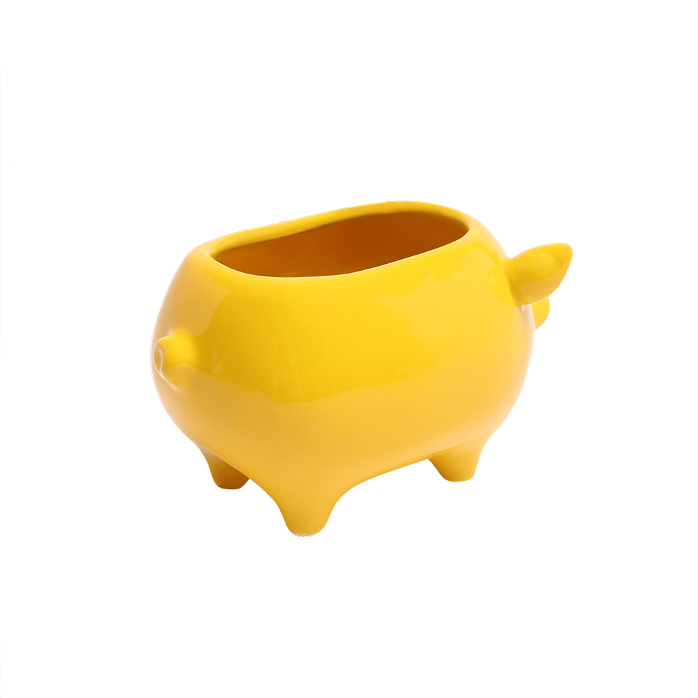 Pig Ceramic Indoor Plant Pot For Succulents - Chive Ceramics Studio - Pots - Chive Ceramics Studio