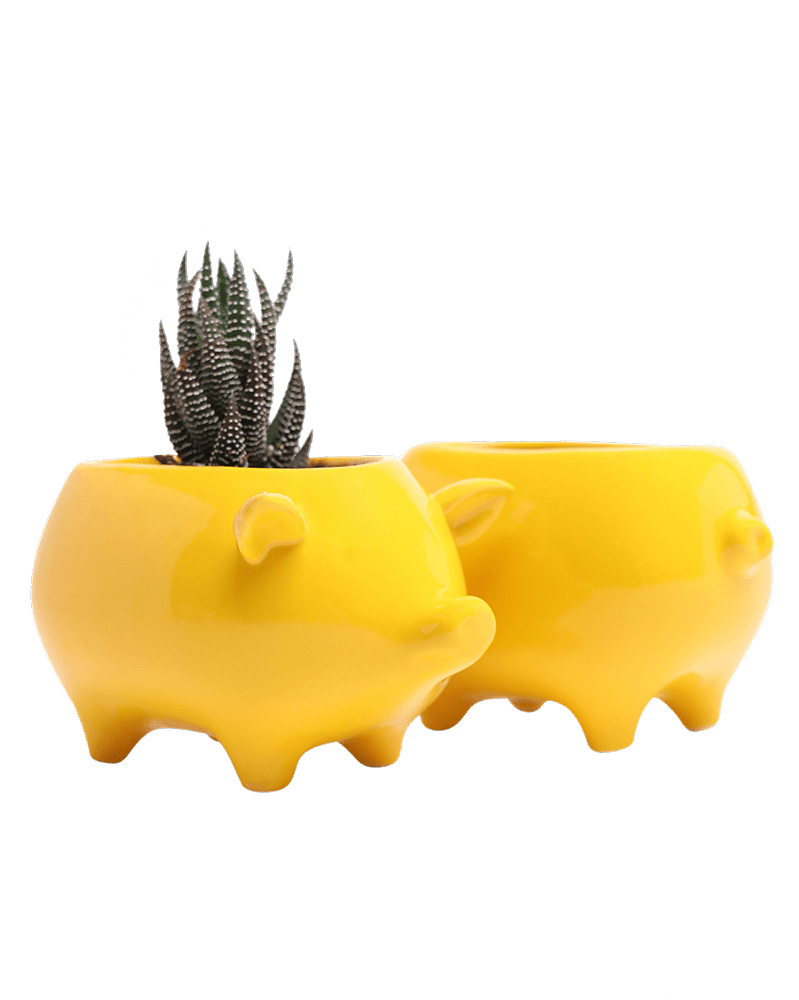 Pig Ceramic Indoor Plant Pot For Succulents - Chive Ceramics Studio - Pots - Chive Ceramics Studio