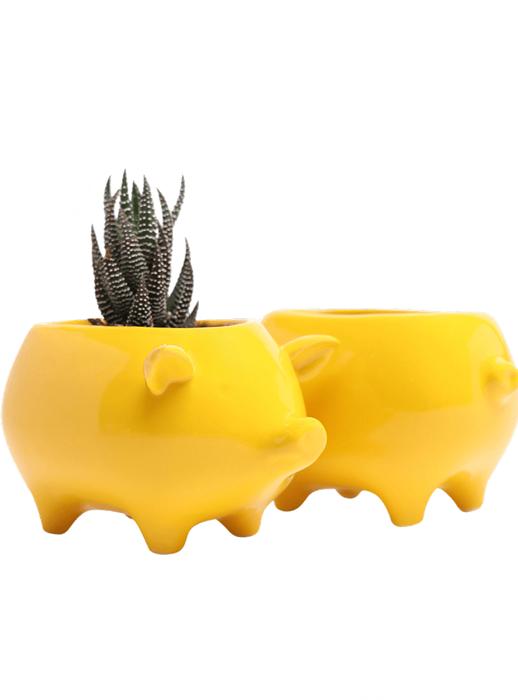 Pig Ceramic Indoor Plant Pot For Succulents - Chive Ceramics Studio - Pots - Chive Ceramics Studio