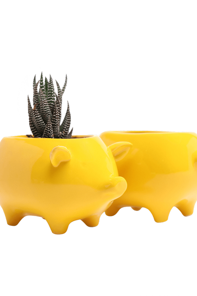 Pig Ceramic Indoor Plant Pot For Succulents - Chive Ceramics Studio - Pots - Chive Ceramics Studio
