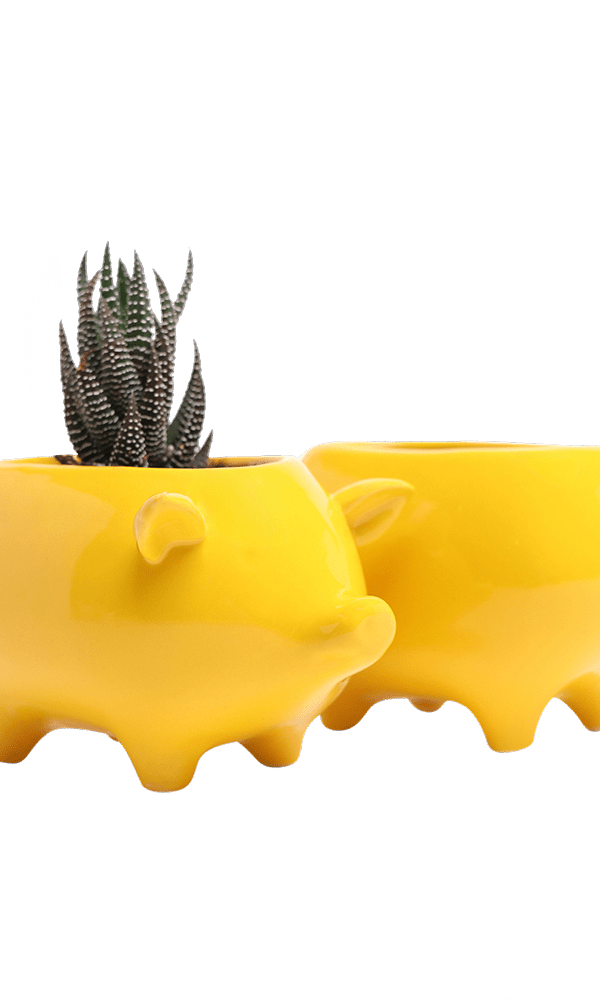 Pig Ceramic Indoor Plant Pot For Succulents - Chive Ceramics Studio - Pots - Chive Ceramics Studio