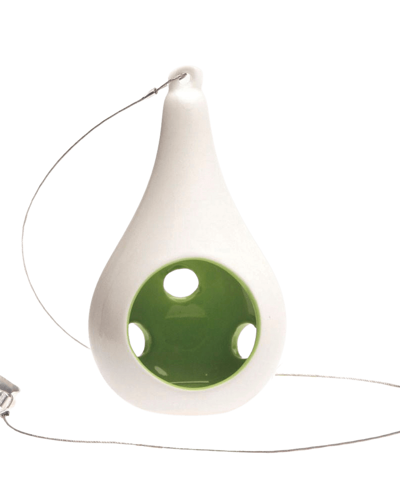 Pod Ceramic Hanging Air Plant Holder - Chive Ceramics Studio - Tools & Accessories - Chive Ceramics Studio